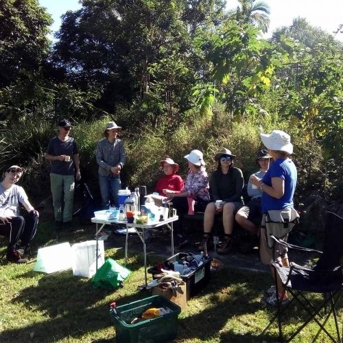 bushcare4 bushcare4